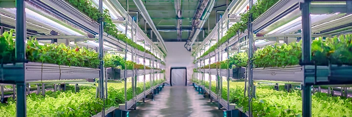 植物工場設備を用途と現場に合せて設計します。