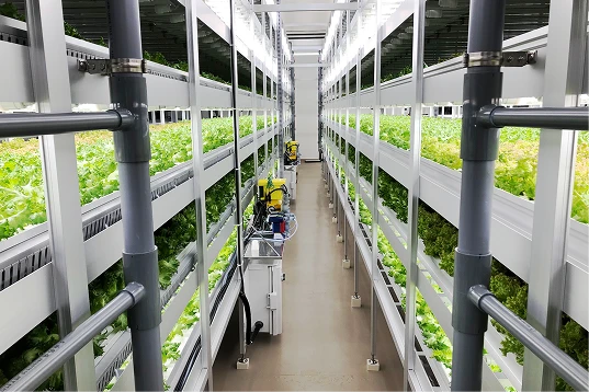 大規模植物工場設備