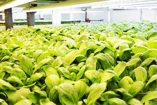 イノベーションをカタチに