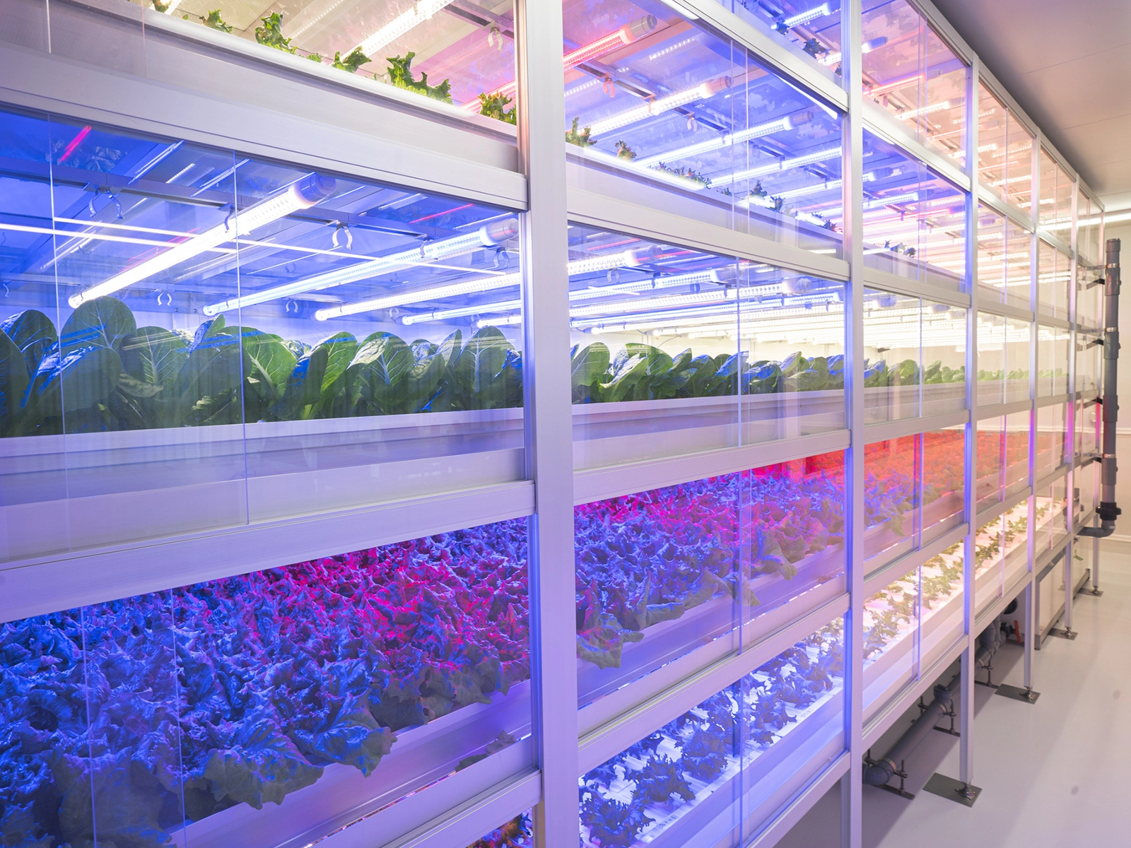 株式会社LEAF FACTORY TOKYO様 植物工場設備