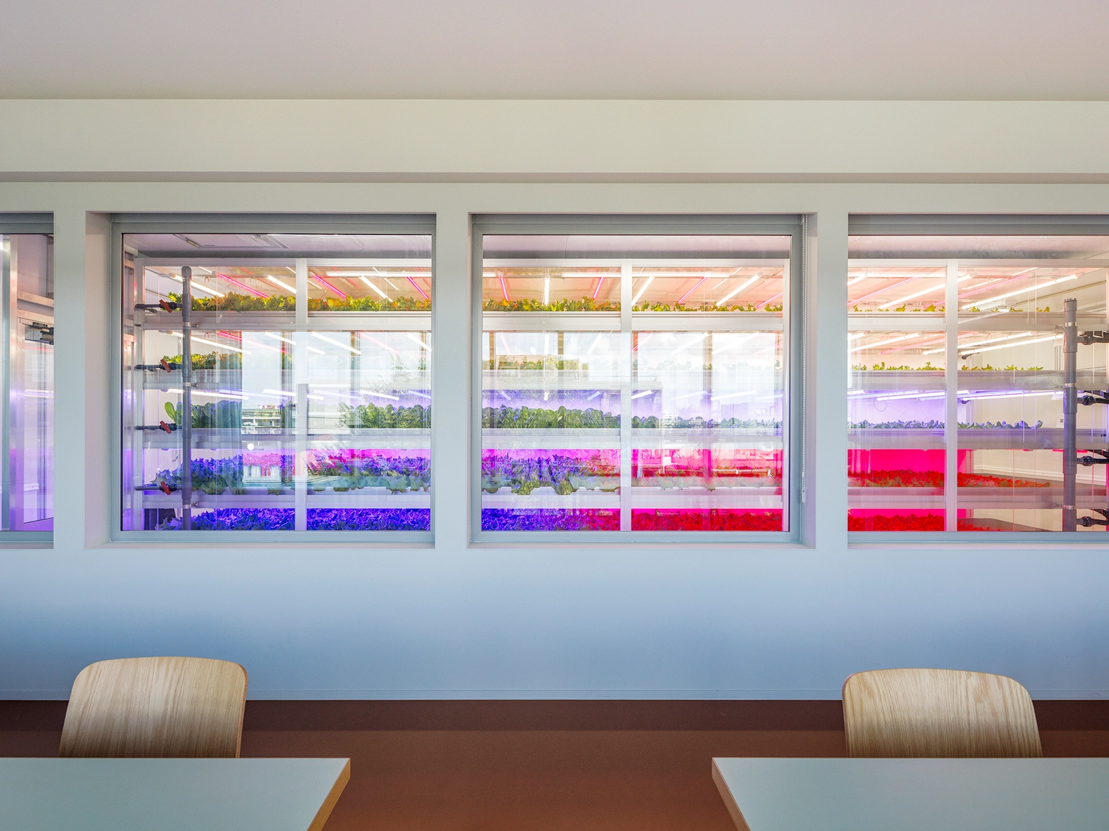 デジタルサイネージ画像②