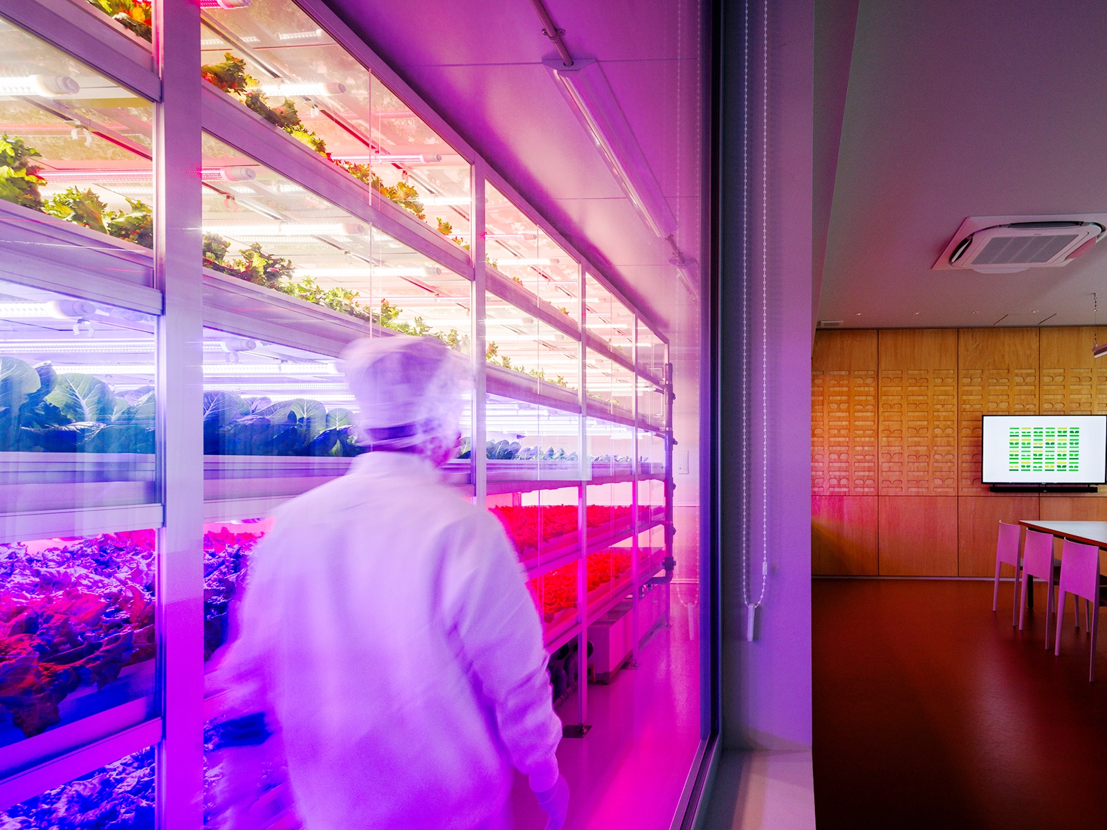 デジタルサイネージ画像④